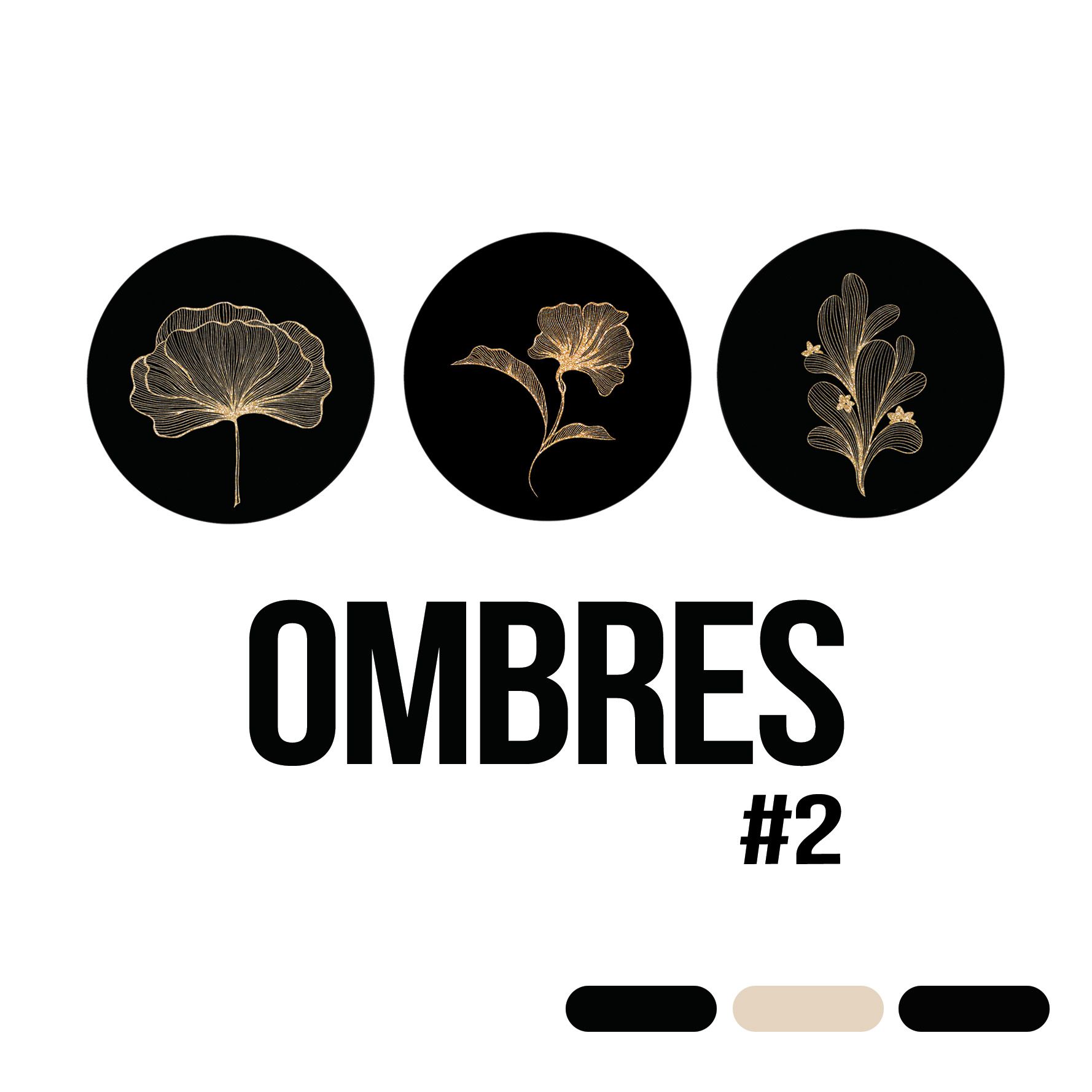 Ombre #2