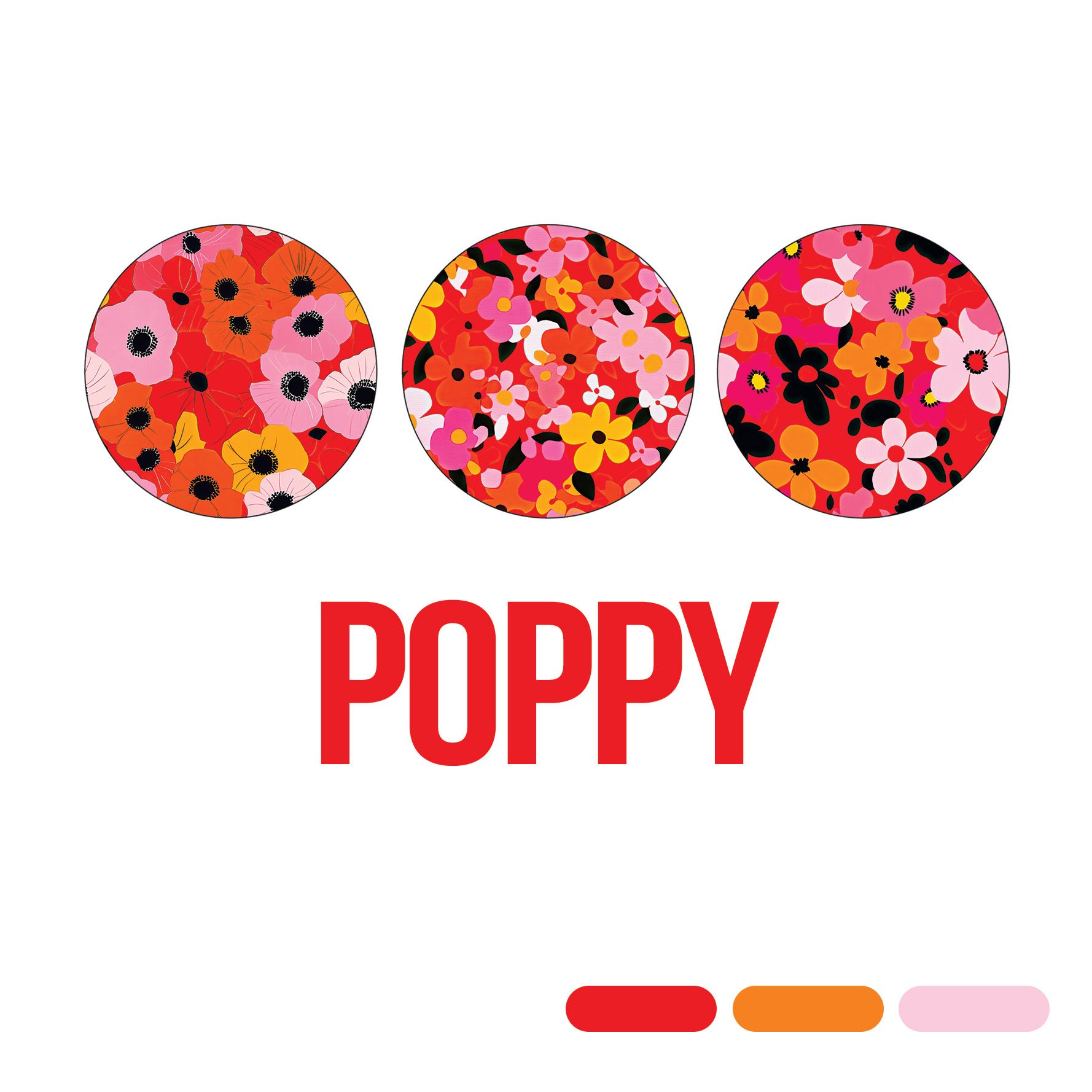 Poppy