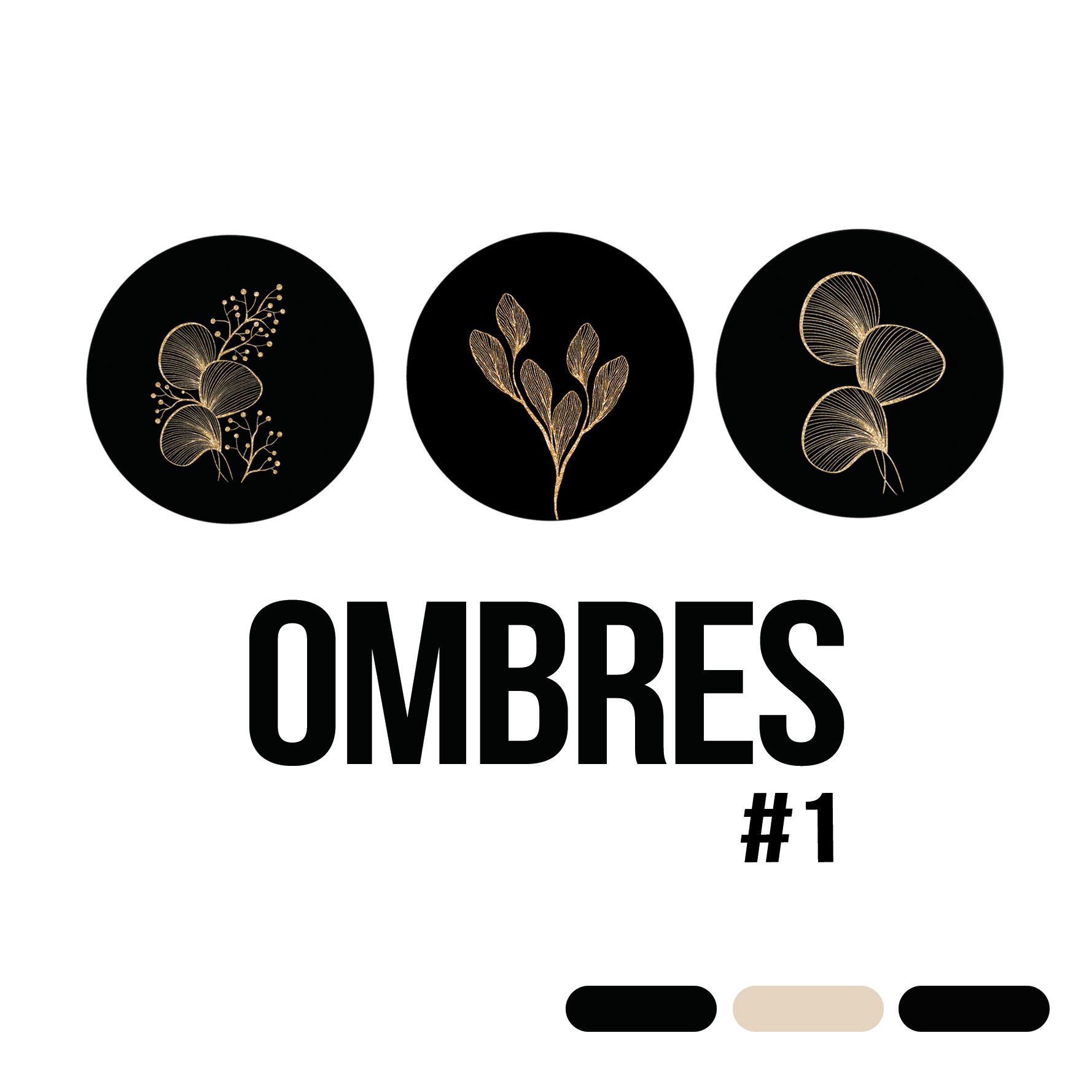 Ombre #1